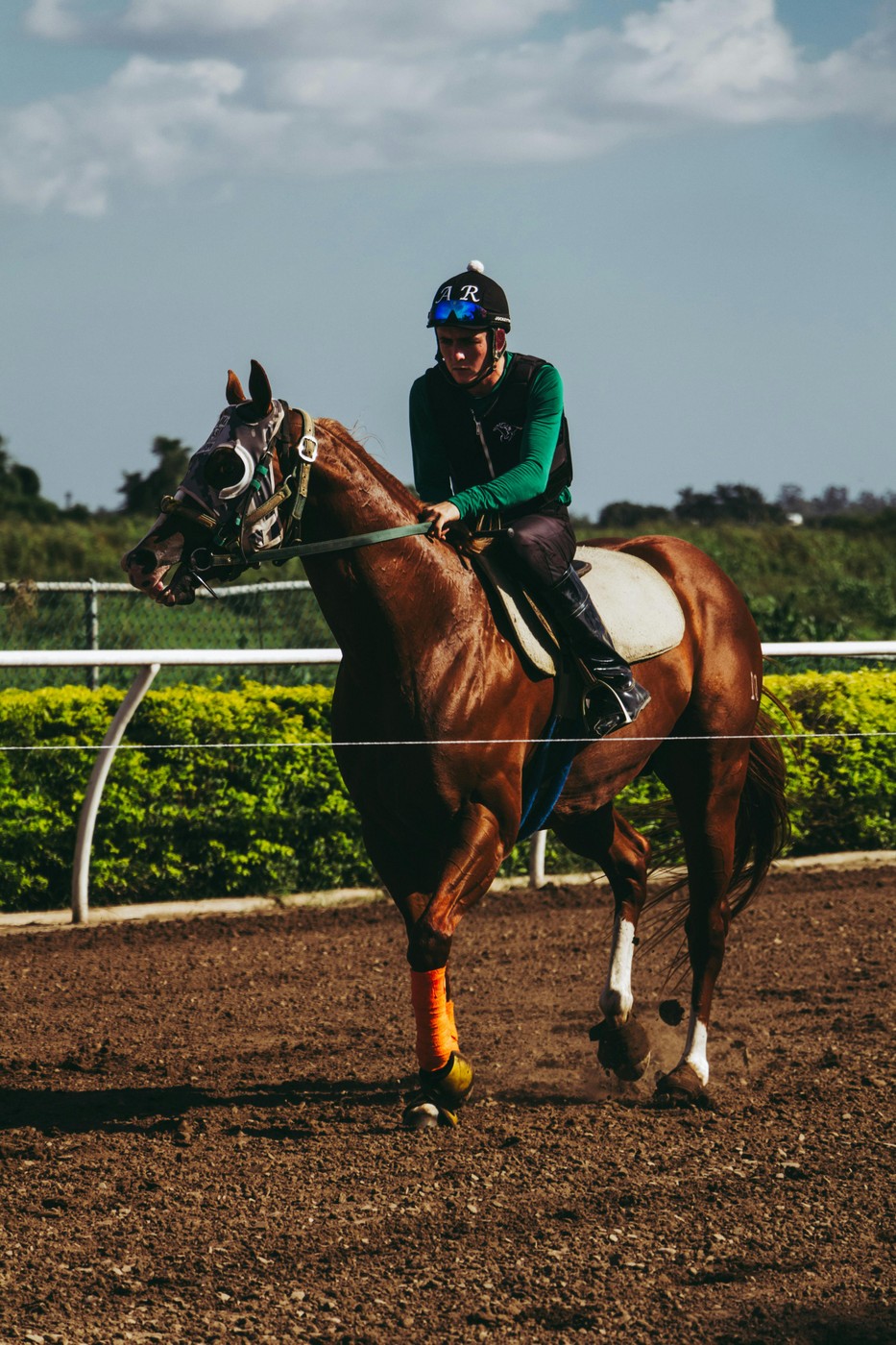 Deserunt mollit anim laborum