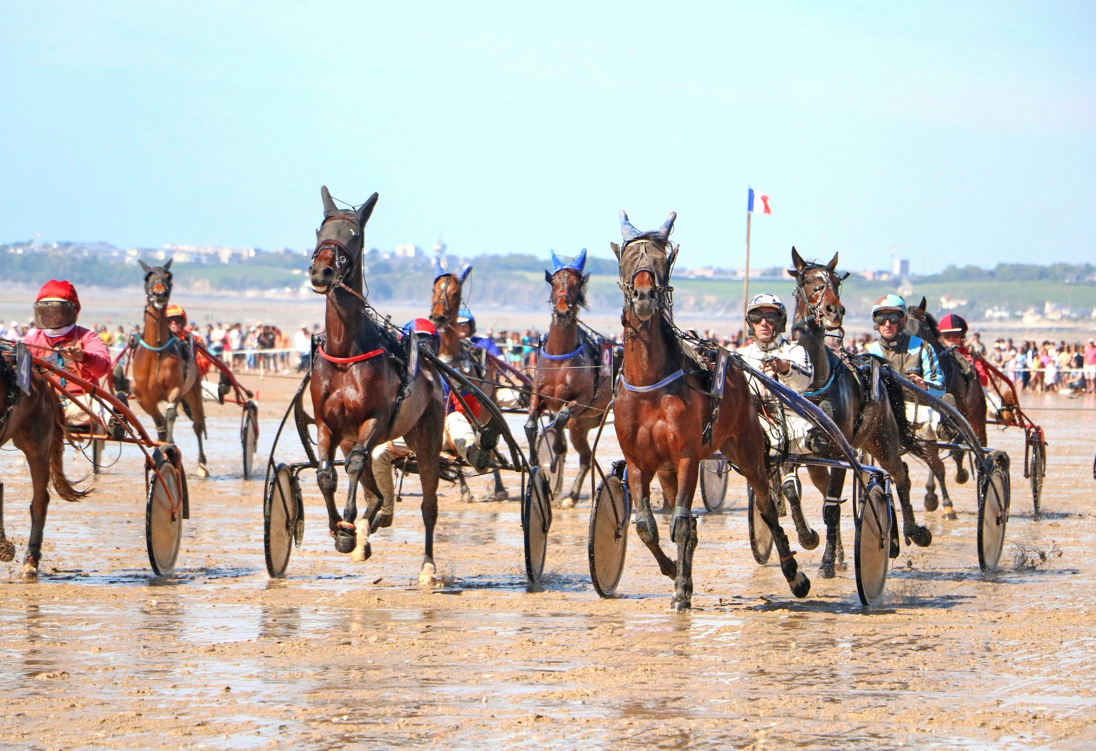 Dolore enim pariatur